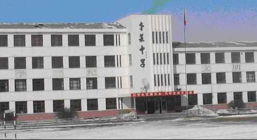 地址(位置,怎么去,怎么走):  齐齐哈尔市讷河市老莱镇