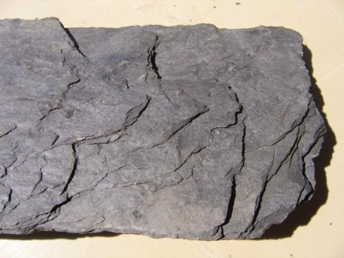 钙质页岩图片