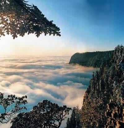 瓦屋山國家森林公園