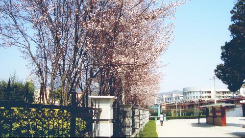 安徽省岳西中学