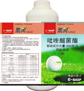 腐霉枯萎病针对对象杀菌剂分 类25%吡唑醚菌酯有效成分凯润中文名凯润