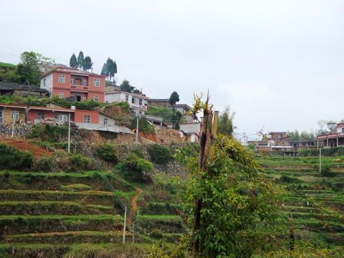 全部版本 历史版本   黎明村在蓬华镇政府东北7公里处.