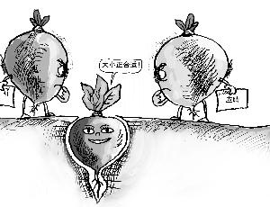 萝卜招聘