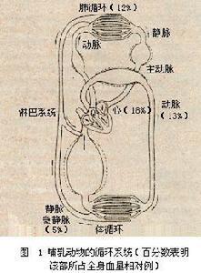 淋巴和組織液)及其藉以循環流動的管道組成的系統