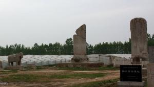 墓林