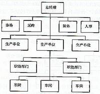 模拟分权组织结构图片