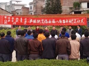 鹅塘镇