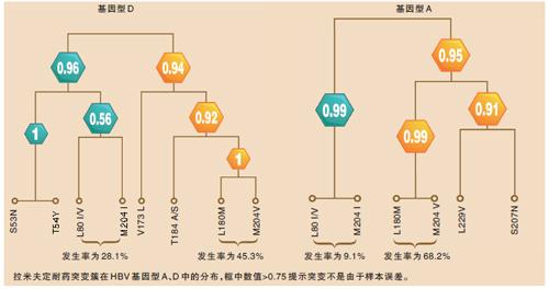 基因型