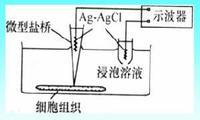 生物电化学