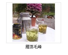 雁荡毛峰