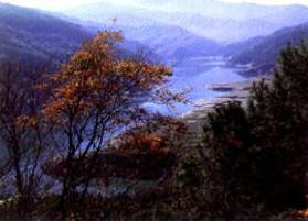 浊水溪