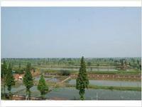 湘口村