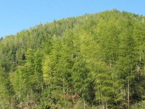 长宦村