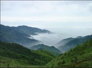 高山草甸