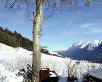 长白山滑雪场