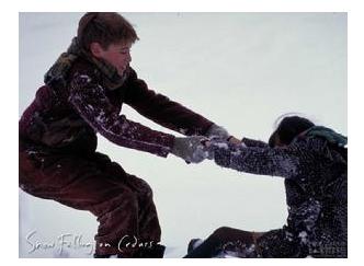 爱在冰雪纷飞时