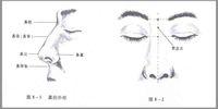 沈阳美丽城隆鼻