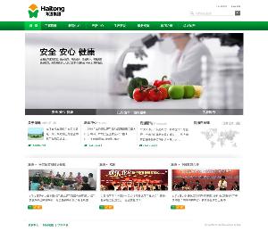 公司网站截图
