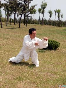 太极螳螂拳
