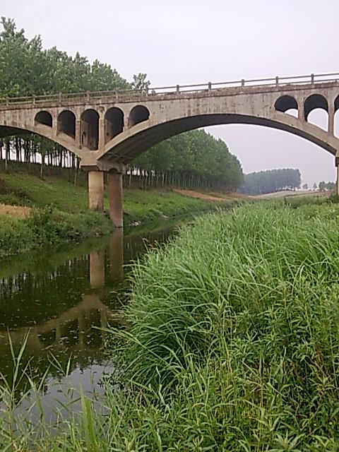 毗邻汝河(淮河支流),饮食以小麦为主.