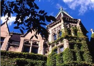 芝加哥大学一角