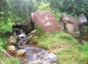 播扬镇扶荫地生态风景区