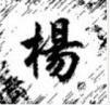 杨姓