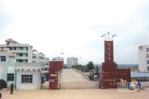 阳逻高中