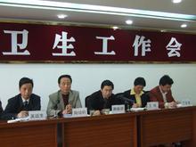 泗门洲镇卫生会议