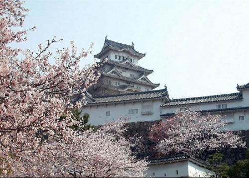 天草市 搜狗百科