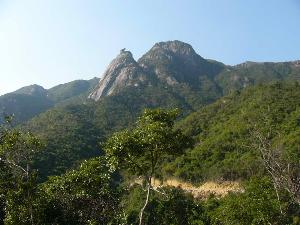 电白望夫山 搜狗百科