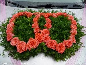 婚庆