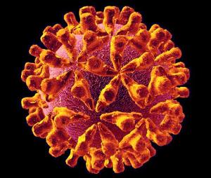 上个月18号检查艾滋病是阴性到这个月15检查的也是阴性是不是没事了