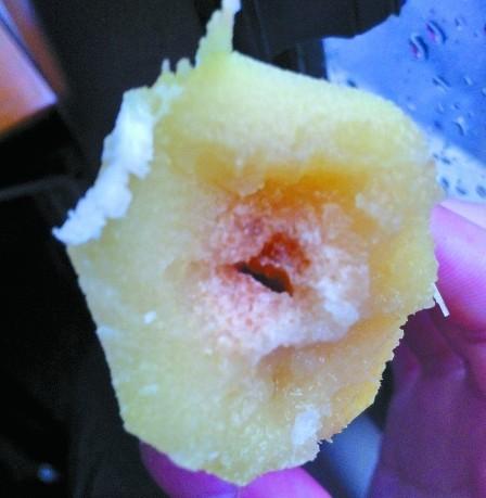 节菱孢霉菌
