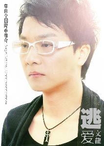 文龙海报