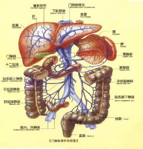  顽固性便秘