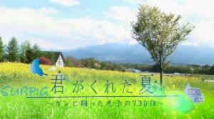 《你给我的夏天》