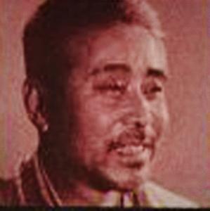 独臂将军