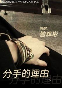 分手的理由