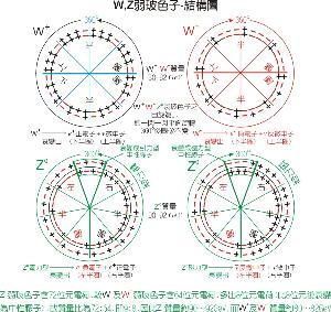  WZ玻色子-内部结构模型图