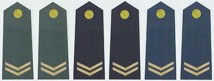 上等兵(军衔) - 搜狗百科