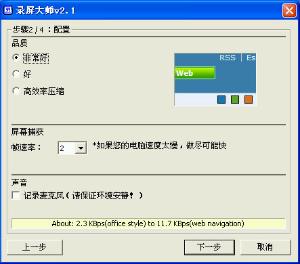 录屏大师
