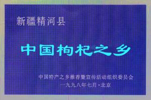  枸杞之乡