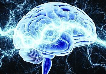 概率神经网络信用评价模型及预警研究