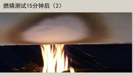 防火测试