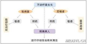 不动杆菌感染图