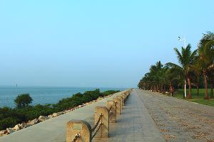 從深圳紅樹林海濱生態公園沿海岸線到深圳灣公路大橋多少公里