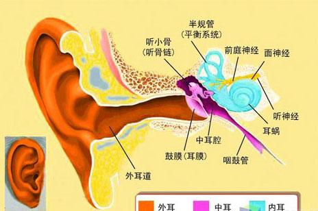 慢性中耳炎