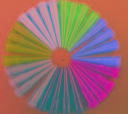 TT斜式点胶针头