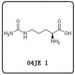 患有类风湿性关节炎的病人(约80%)会发展一套免疫反应对抗带有瓜氨酸